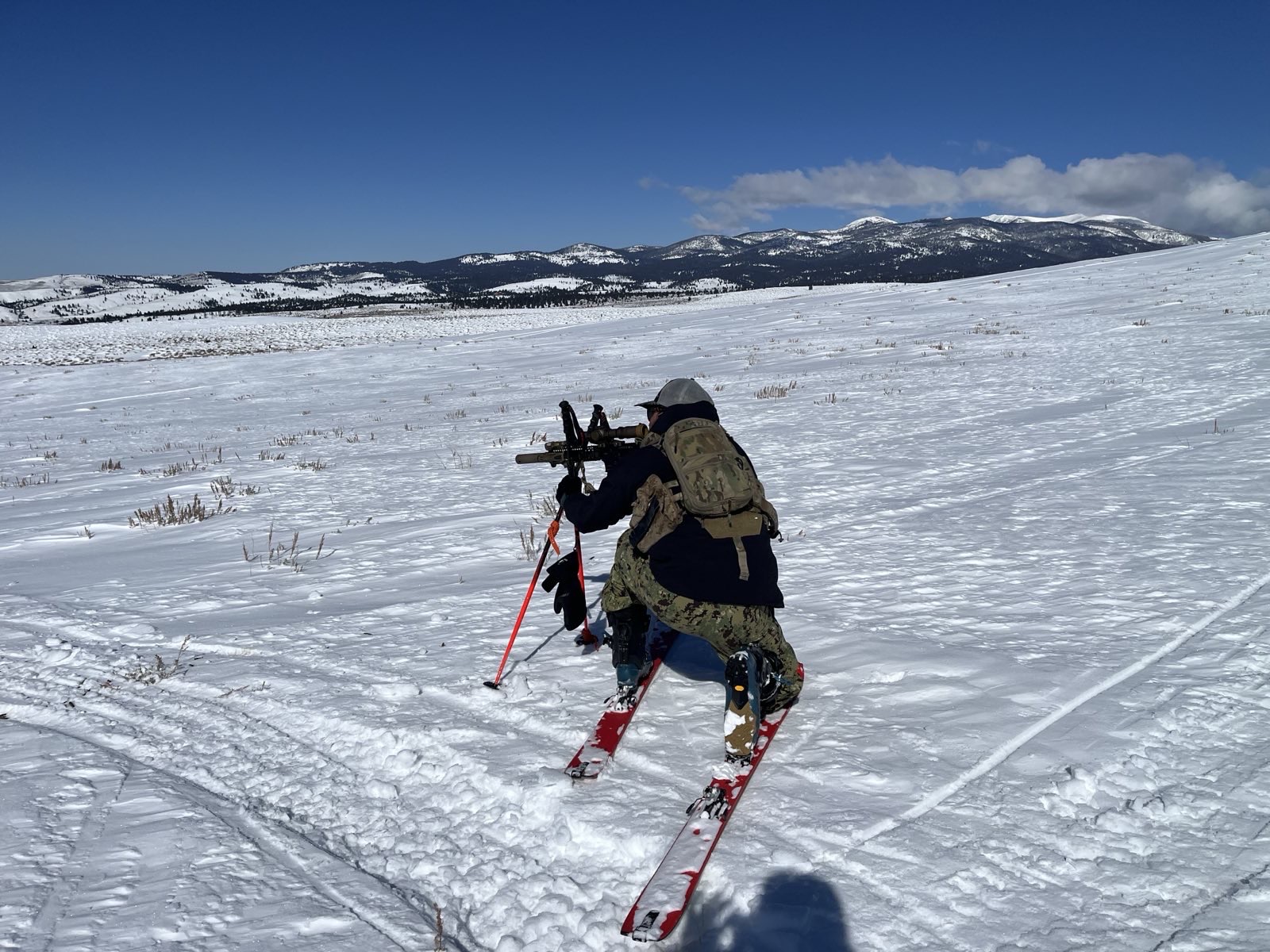 BSASR — Ski Marksmanship Training